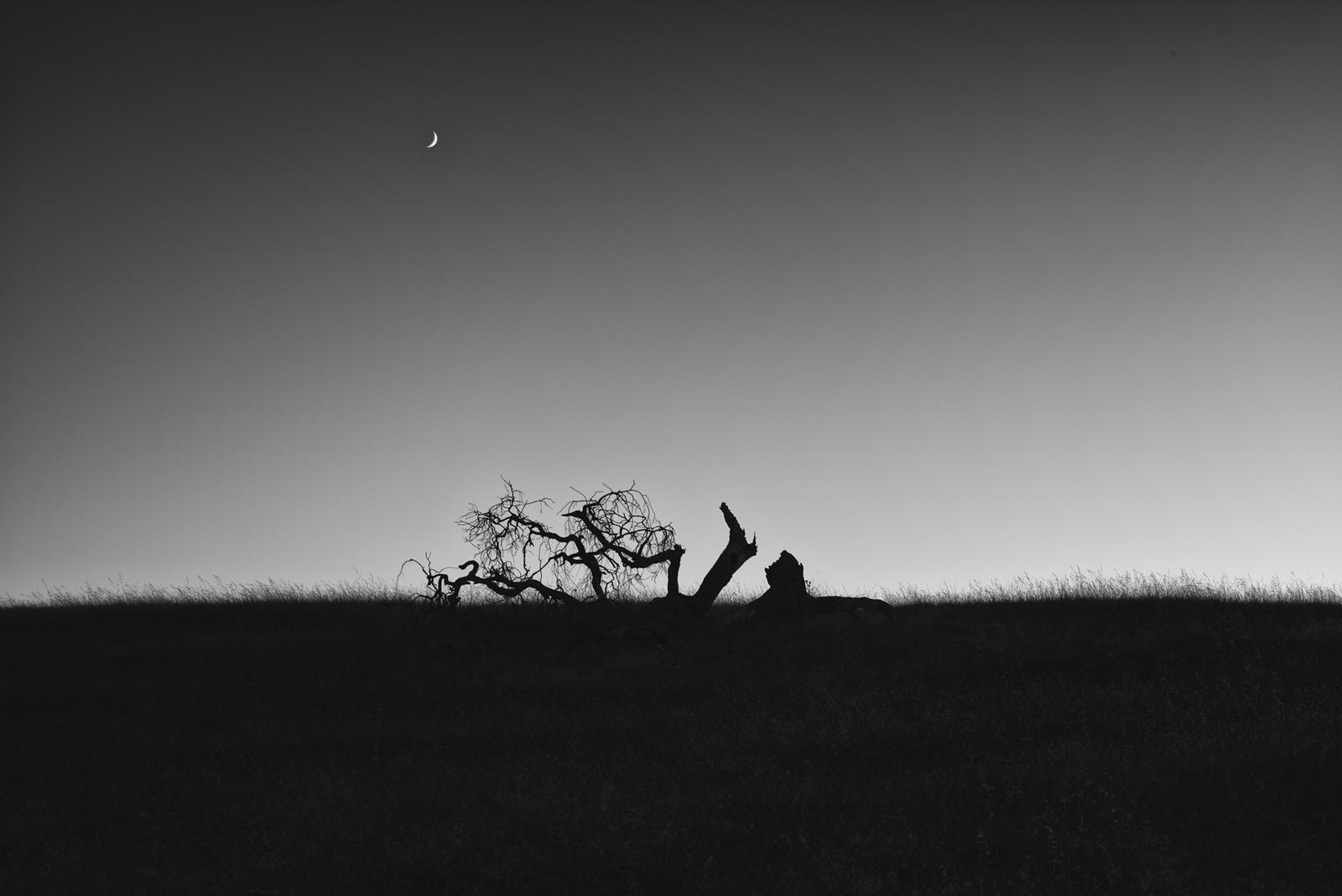 Stanford Foothills